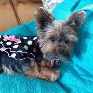 Meet your Posher, Jane